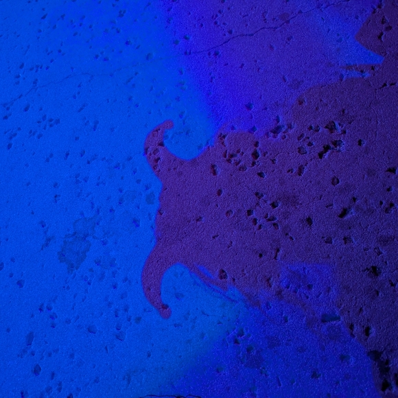 Deals And FYIs - Picture 1 of 1